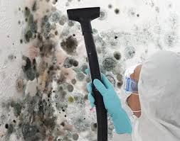 Reliable Hinckley, MN Mold Removal Services Solutions